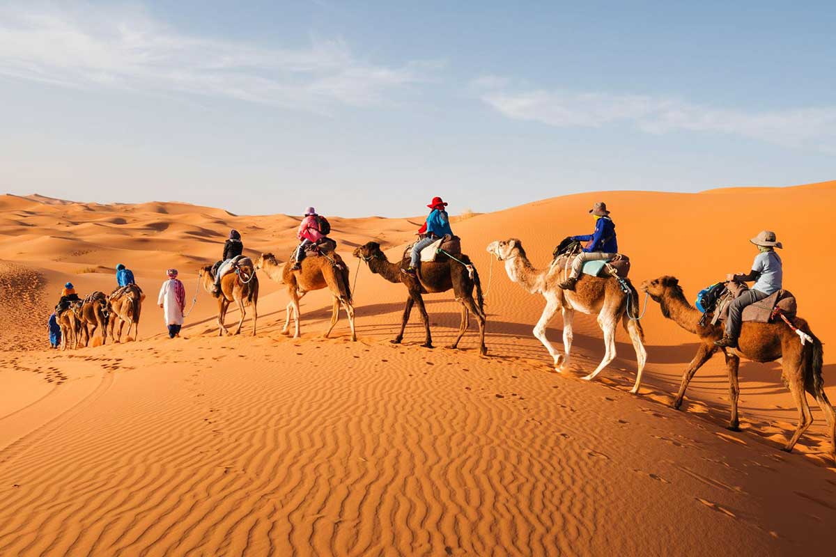 Grand Rajasthan Tour