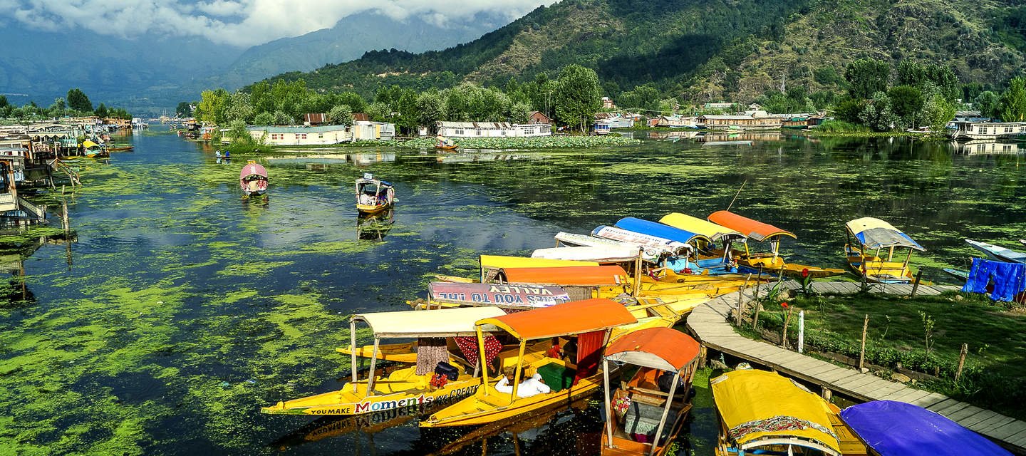Glimpses of Kashmir Tour